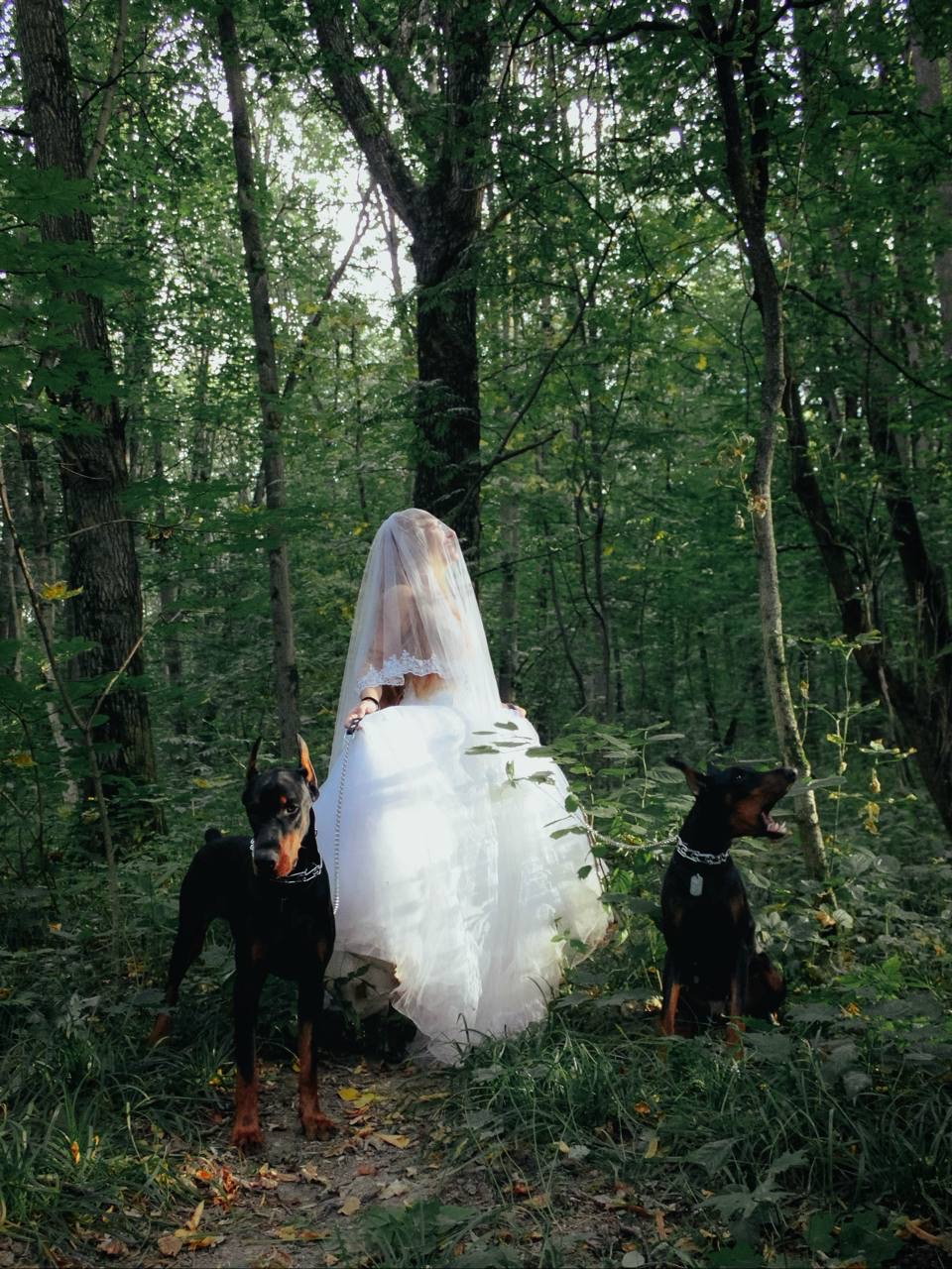 Фото сессия с доберманом в лесу Москва Подмосковье