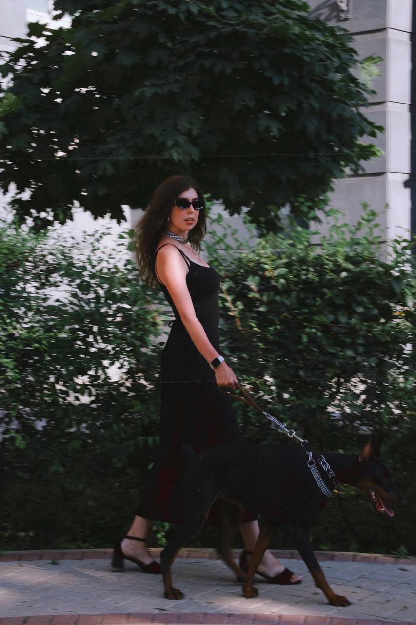 Доберман для фотосессии ЖК Английские кварталы Москва