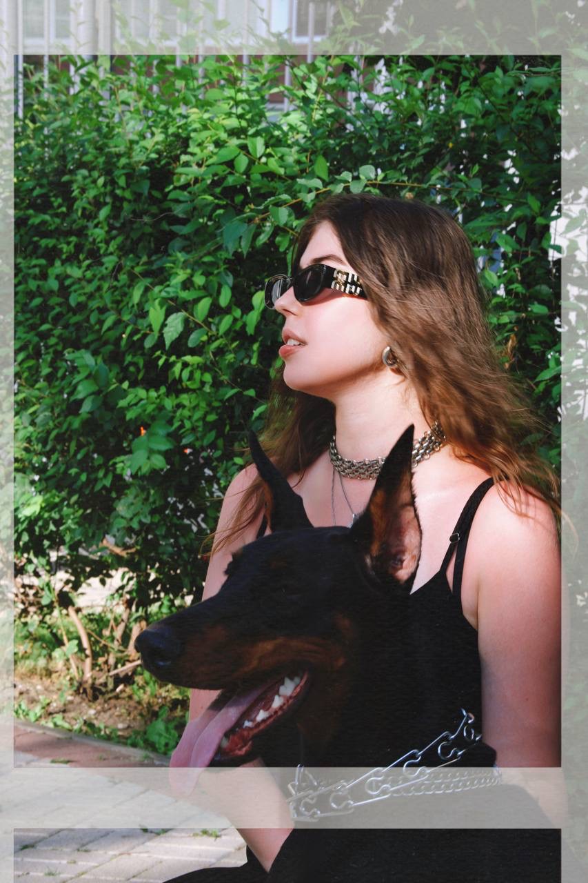 Доберман для фотосессии Москва улица Мытная жилой комплекс Английские кварталы