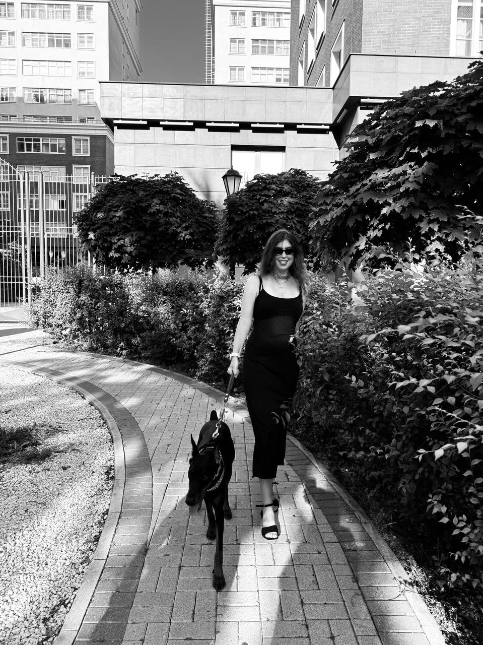 Доберман для фотосессии Москва улица Мытная