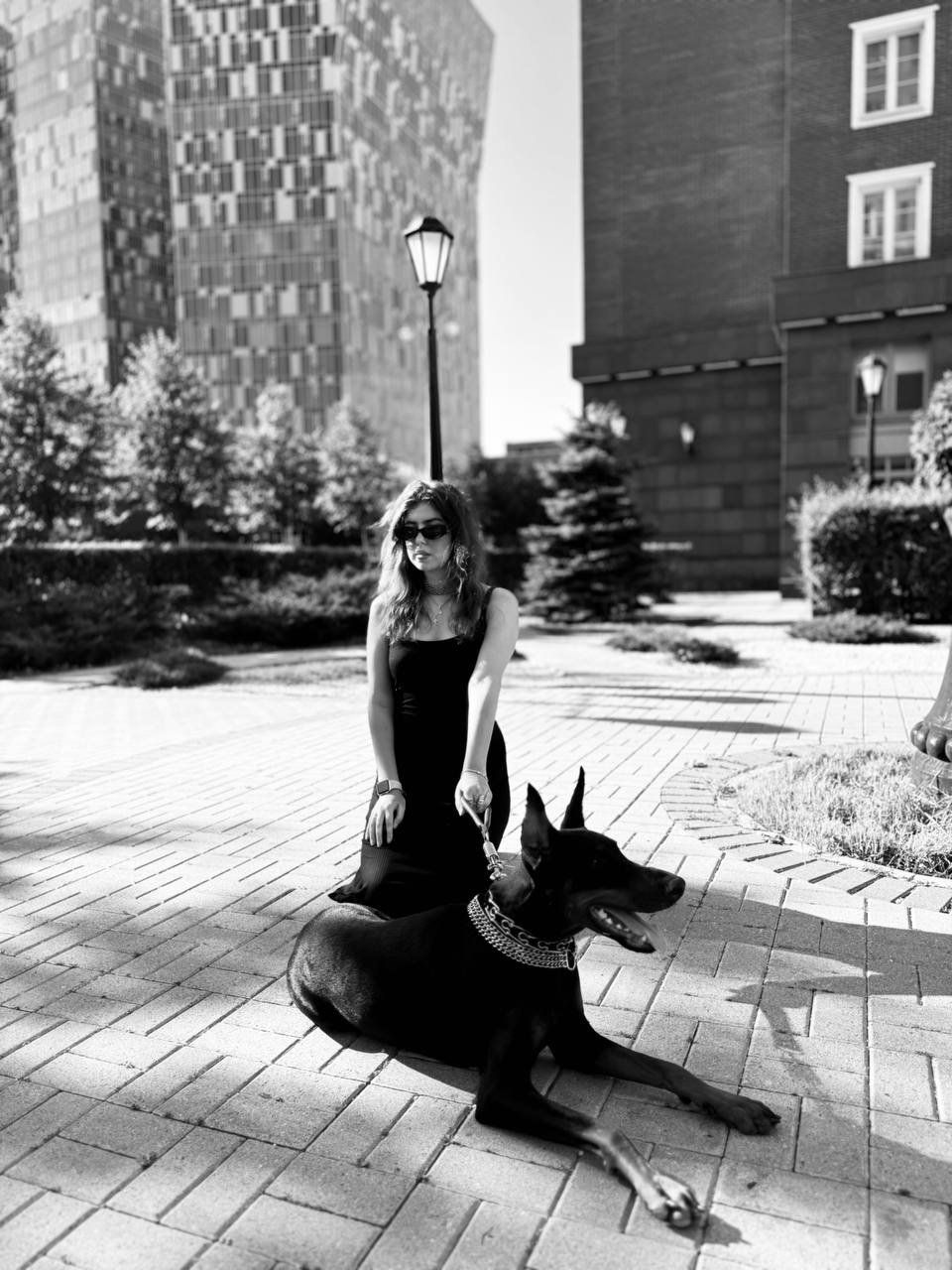 Доберман для фотосессии Москва улица Мытная