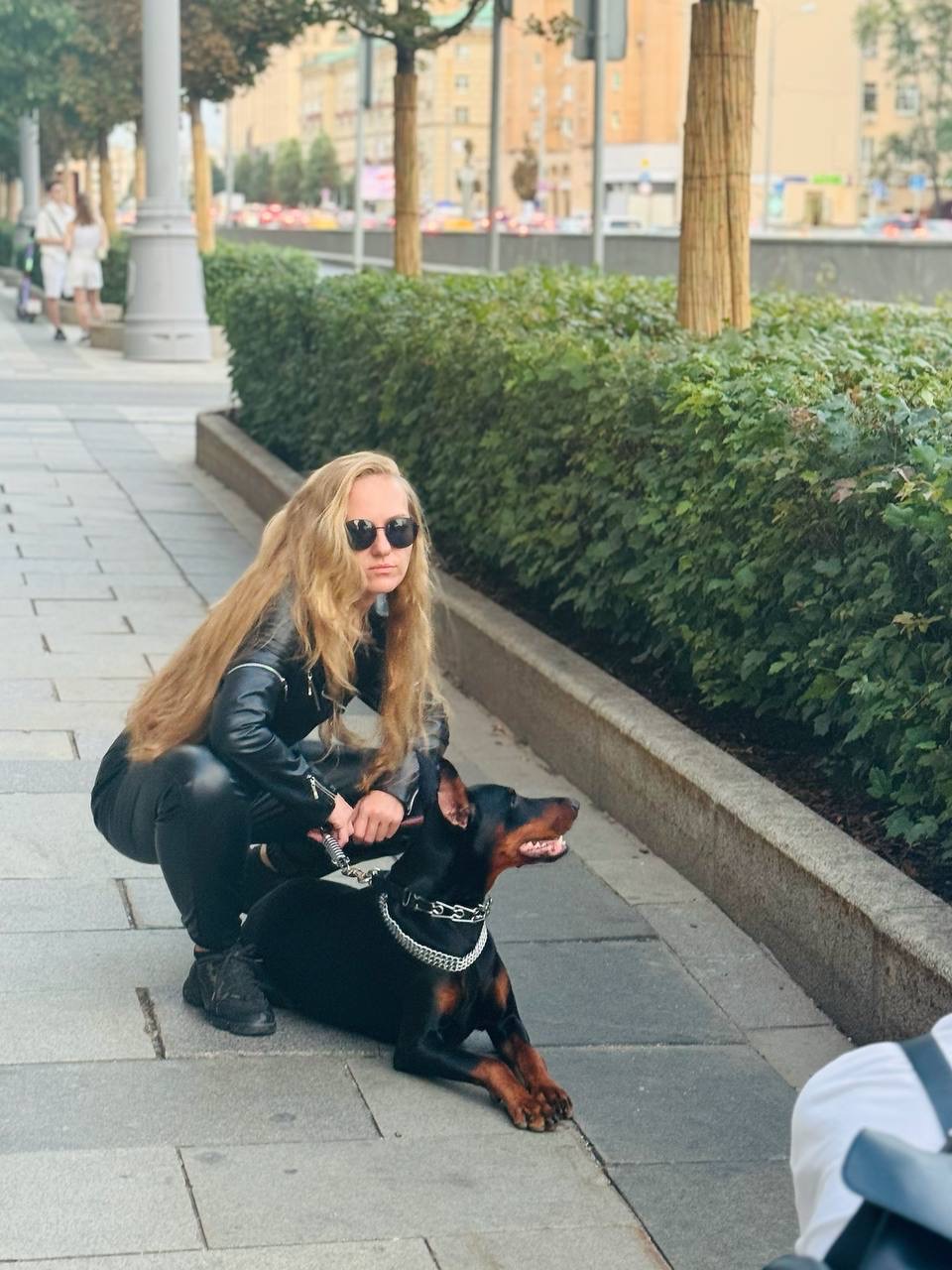 Доберман для фотосессии Москва улица Мытная