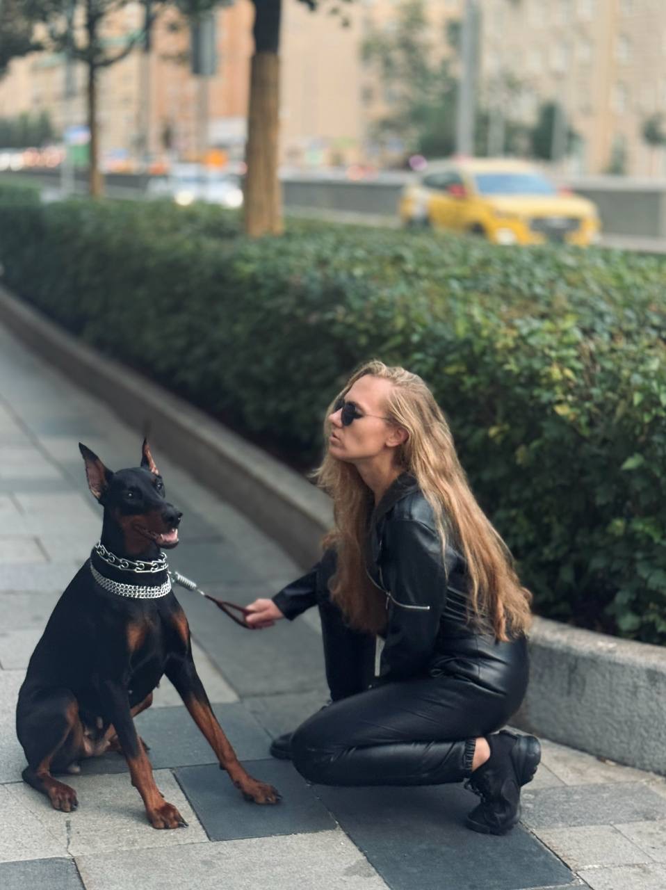Доберман для фотосессии ЖК Английские кварталы Москва