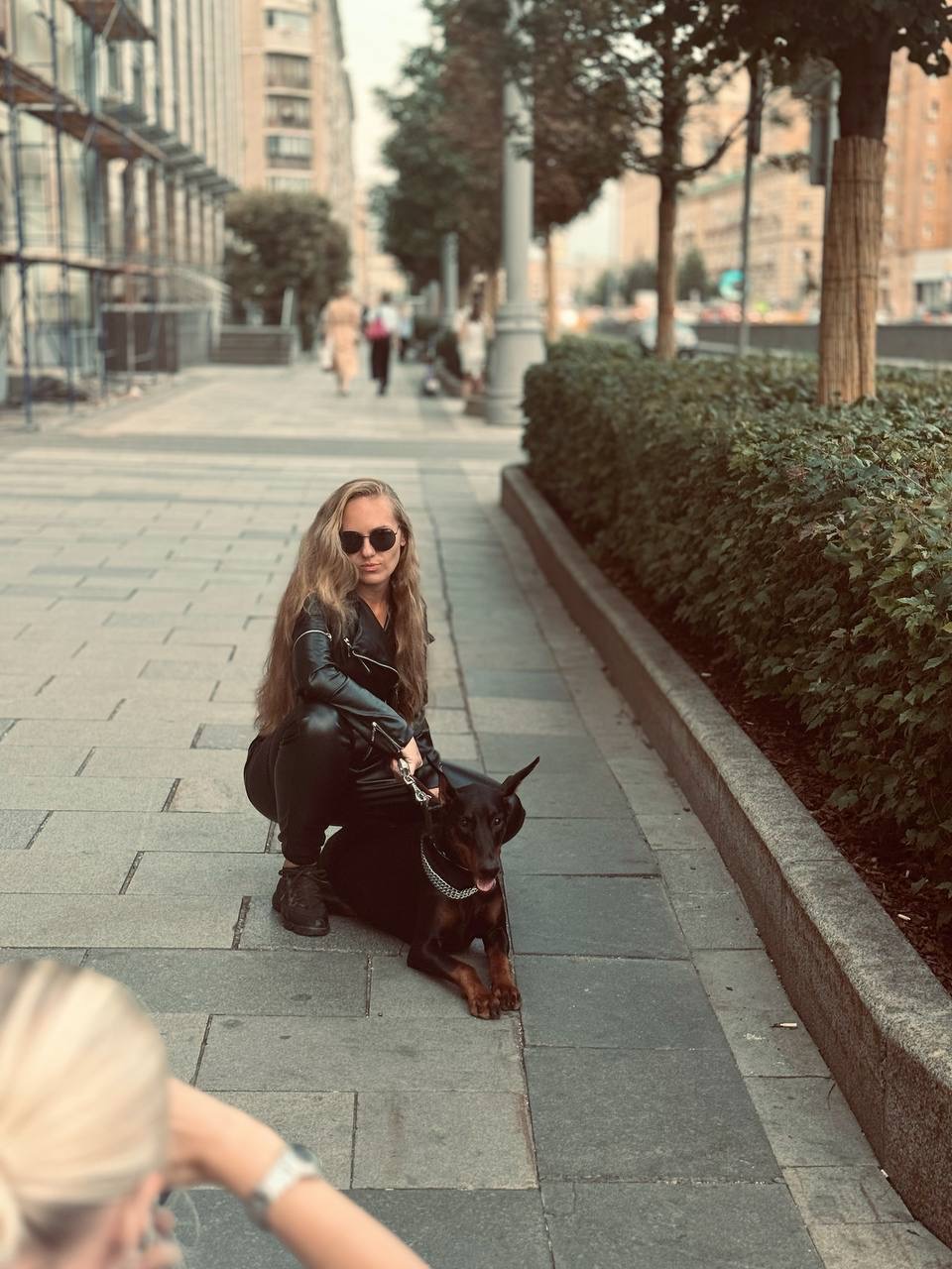 Доберман для фото сессии Москва на улице Мытная