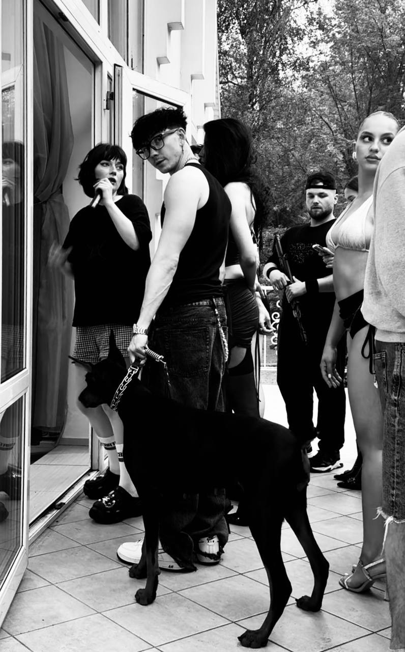 Доберман для видео съемки в клипе Московская область Москва