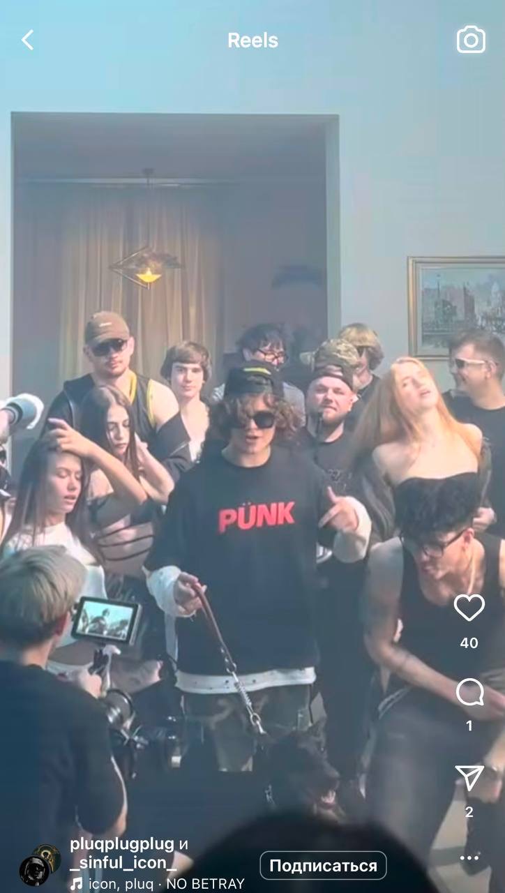 Собака доберман для клипа видео рилс Москва