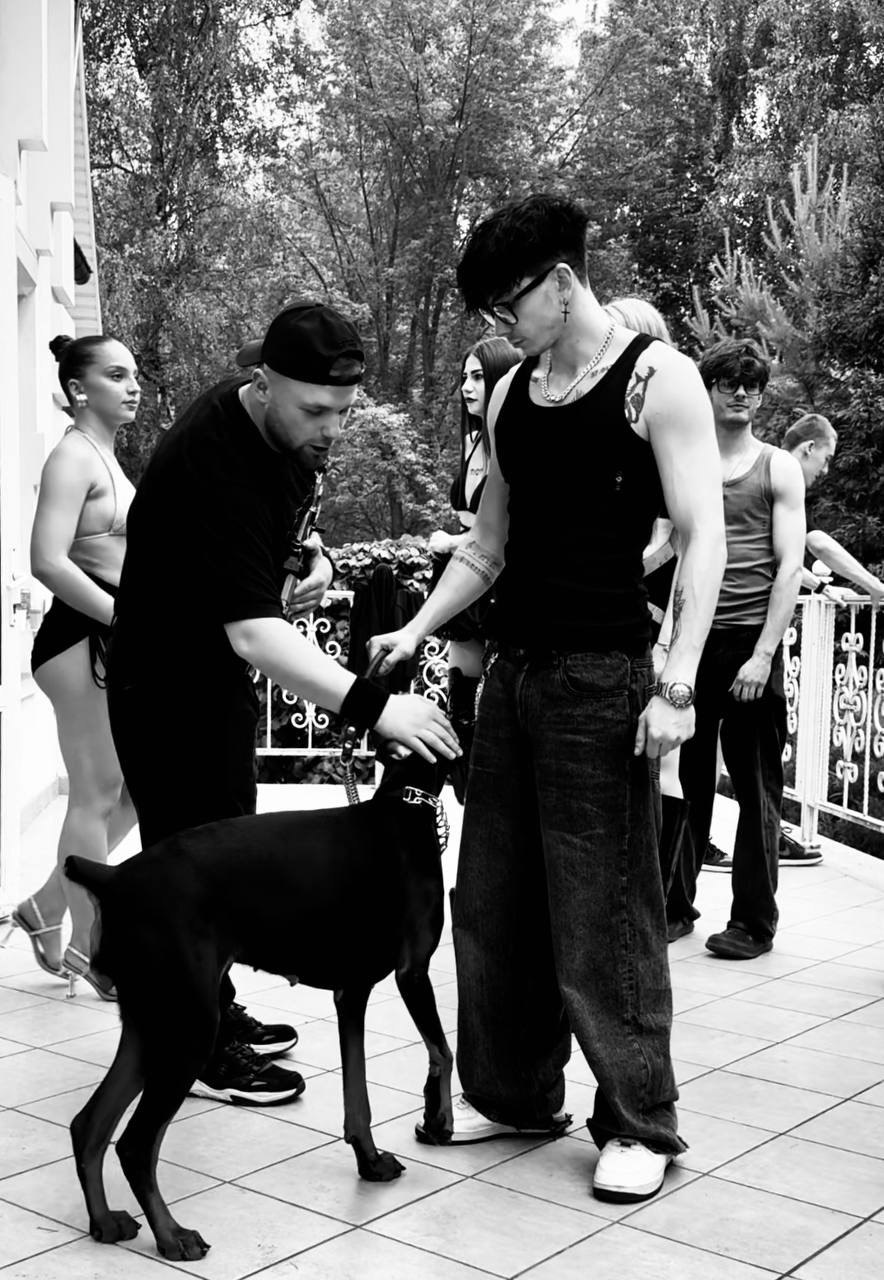 Заказ животного собаки доберман для видео съемок клип рилс Москва