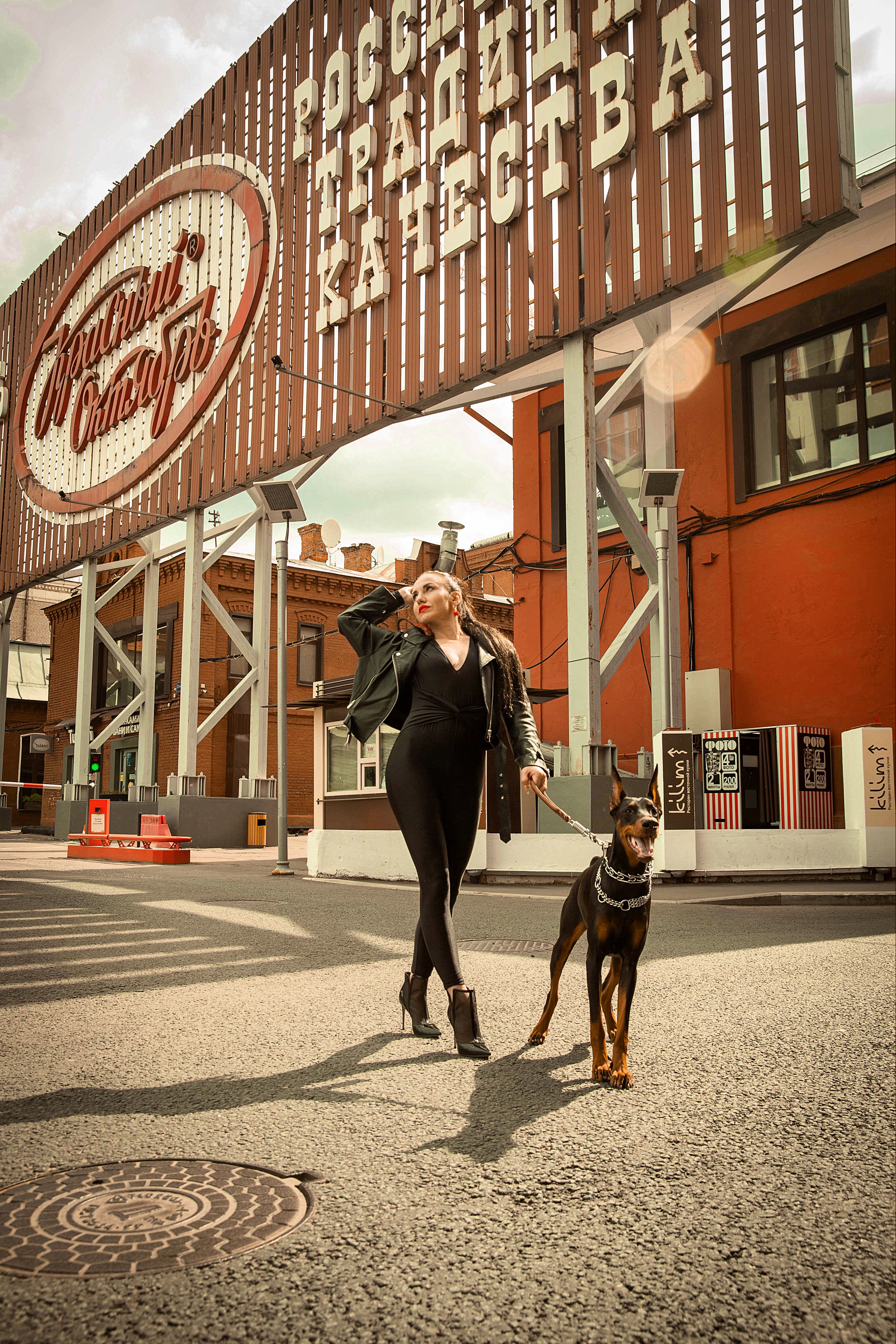 Аренда добермана для фотосессии на улице в Москве
